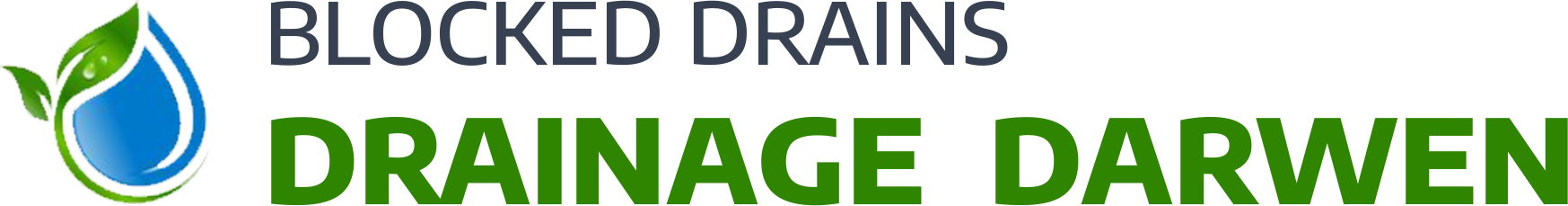 website logo